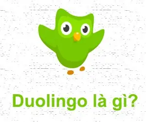 Trang web Duolingo.com là gì?