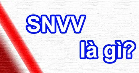 Snvv có nghĩa là gì?