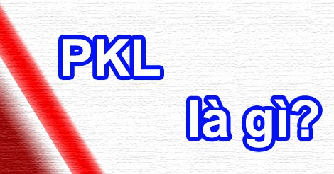 Xe PKL nghĩa là gì?