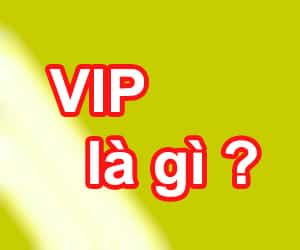 Từ VIP có nghĩa là gì?