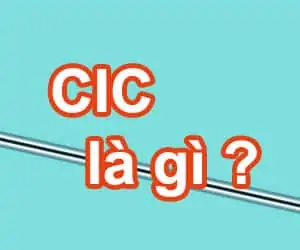 CIC là gì và CIC là tổ chức gì?