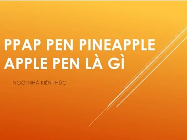 ppap-pineapple-pen-apple-pen-la-gi-ngoinhakienthuc