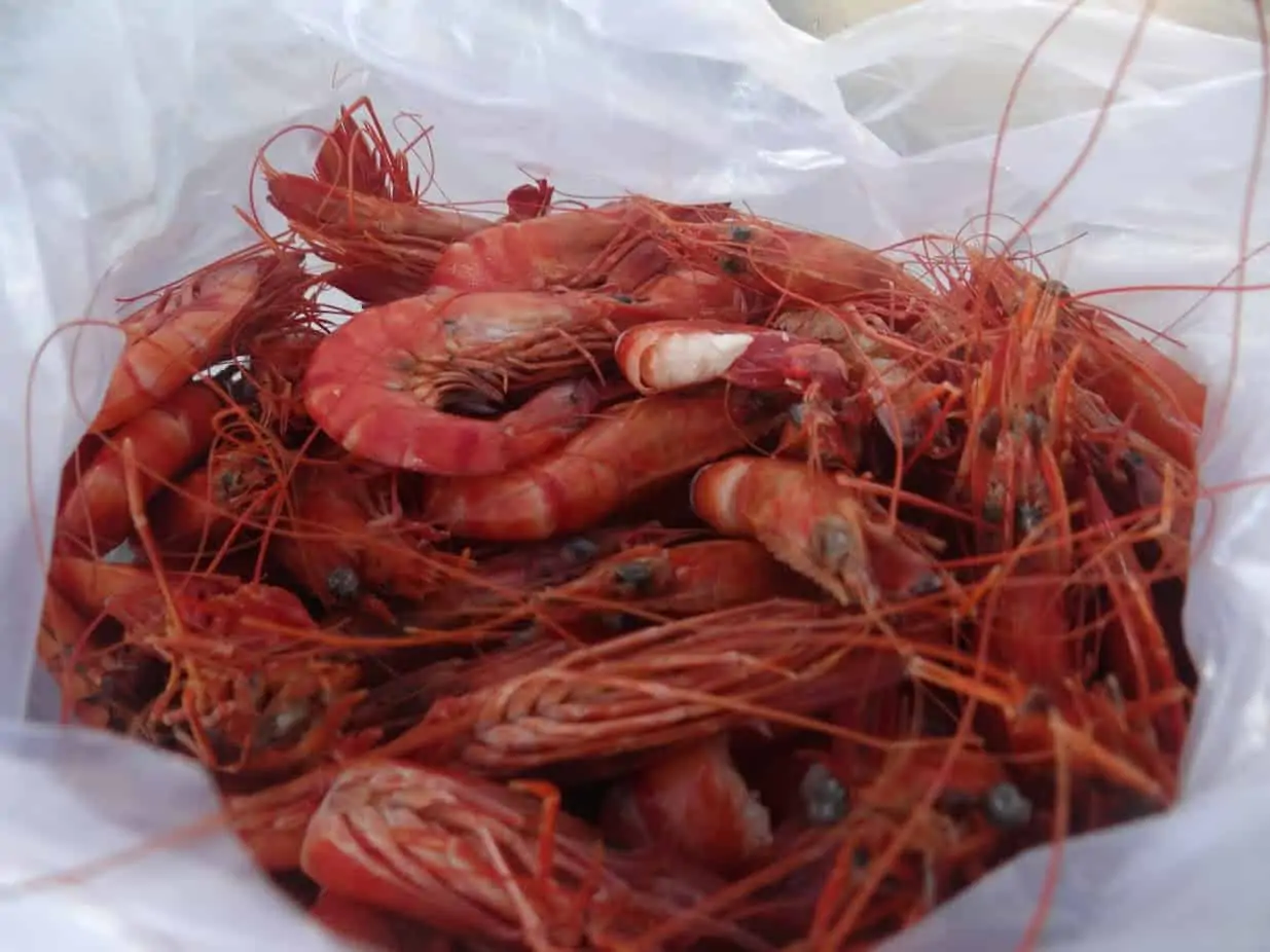 1 - Danh mục hải sản Việt Nam và món ăn liên quan (P2)
