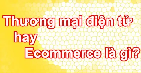 thuong-mai-dien-tu-hay-ecommerce-la-gi