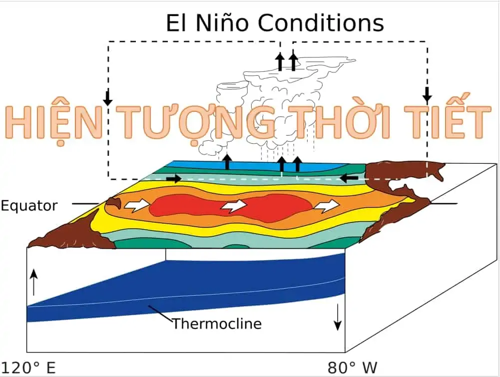1 - El Nino là hiện tượng thời tiết gì và bạn có cần biết hay không?