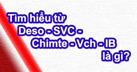 Tìm hiểu từ Deso - SVC - Chimte - Vch - IB là gì?
