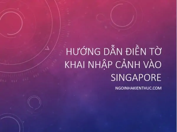 2 - Hướng dẫn điền tờ khai nhập cảnh Singapore cho người Việt Nam