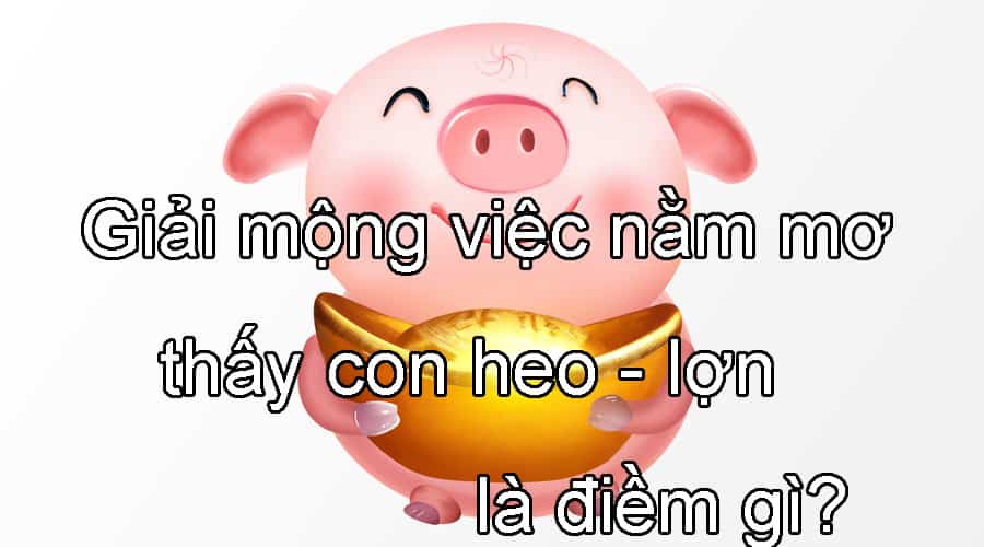 Giải mộng việc nằm mơ thấy con heo - lợn là điềm gì?